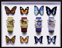 Piaget Miss Protocole