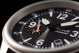 Techn� Goshawk