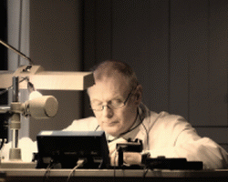 Willem van den Berg